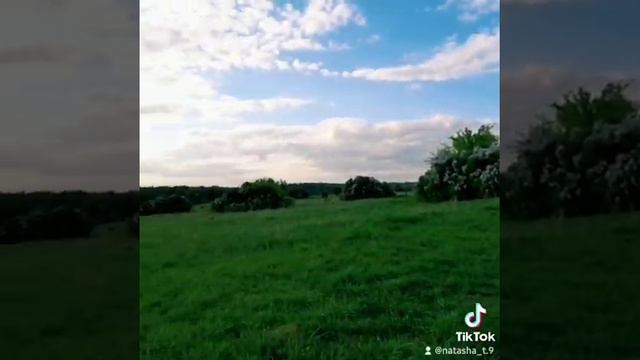 А лето цвета небо, цветы сирени смотреть онлайн