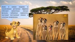 2 класс. Окружающий мир. Путешествие по материкам. Африка