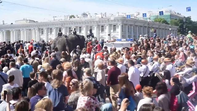 Парад слонов, День города в Санкт-Петербурге-2018 смотреть онлайн