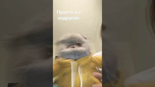 ребят простите во 1:простите за сзади идущего Гарри Поттера .2 за то что меня немного видно ❤️