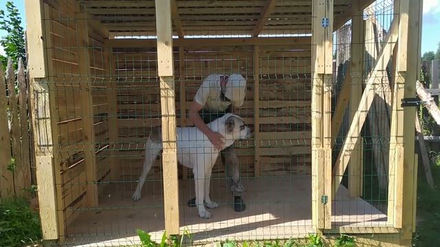 Знакомство алабаев Эскера и Айлы смотреть онлайн