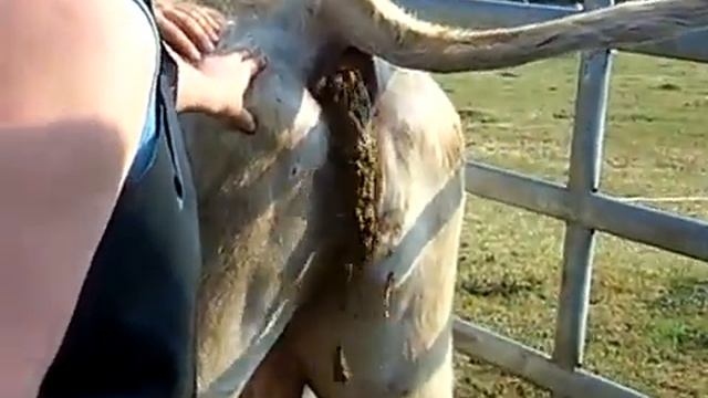 деревенская каша смотреть онлайн
