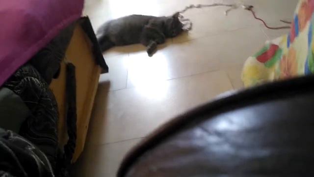 Баю баюшки баю смотреть онлайн
