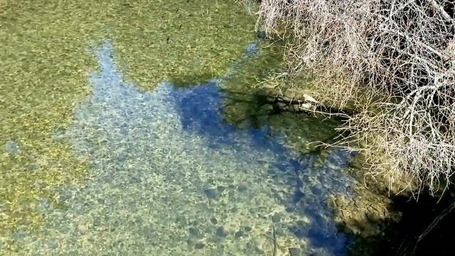 Этап #15 Vidiago - Cervatos. Camino de Santiago del norte. Путь святого Якова. Путь Сантьяго. смотреть онлайн