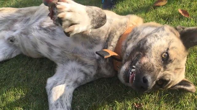 КАК ПРЕОДОЛЕТЬ ЛЮБЫЕ ТРУДНОСТИ И ВЫБРАТЬСЯ ИЗ ЖИЗНЕННОЙ ЯМЫ? ОТВЕТЫ НА ЖИЗНЕННЫЕ ВОПРОСЫ смотреть онлайн