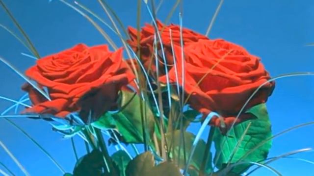 Поздравление ко дню рождения Андрея Уманчука смотреть онлайн