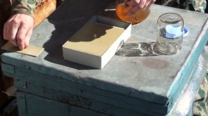 Весенняя стимулирующая подкормка пчел сиропом. Стимуляция матки к яйцекладке.