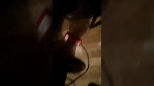 Live@Nokia 8 смотреть онлайн
