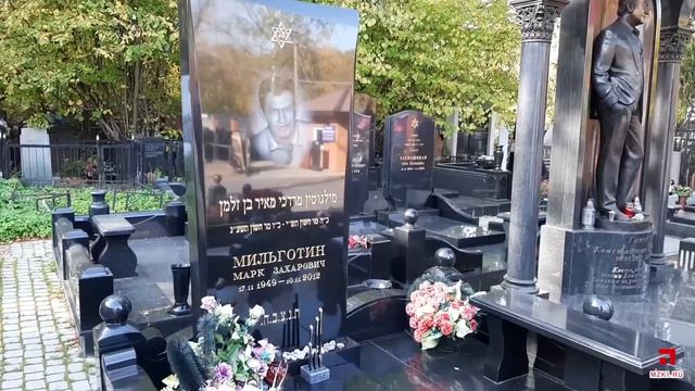 Анонс сюжетов на ноябрь смотреть онлайн