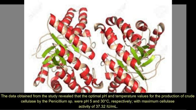 Utilization of Lignocellulosic Residues (Corn-cob and Pawpaw Fibre) as Substrates for Production смотреть онлайн