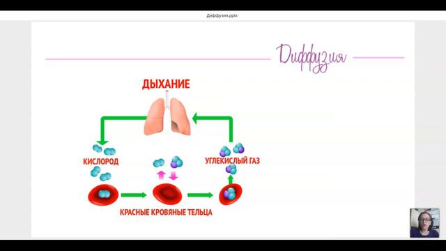 диффузия смотреть онлайн