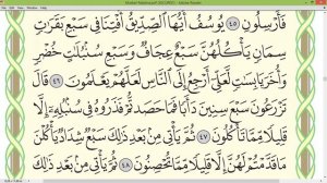 Шейх Айман Сувейд сура Юсуф стр 241