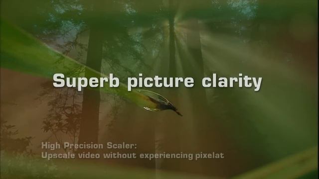 1080p 720p HD Video Test by Nvidia PureVideo смотреть онлайн