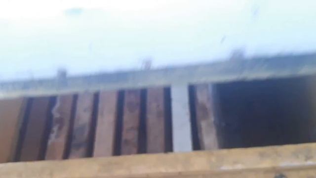 Холодная зимовка на сетчатом дне с высокой крышей. смотреть онлайн