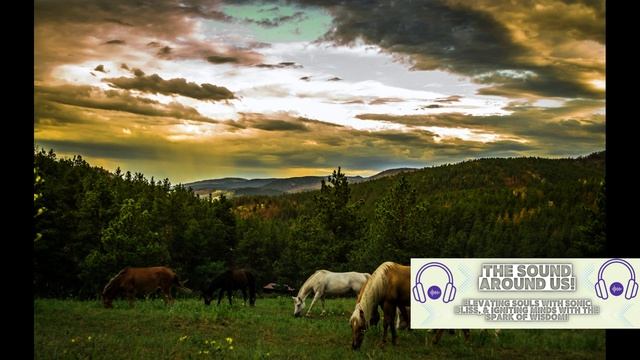 Beyond the Screen: Engineering Marvels in TV Technology & Harmony in Hooves: The Acoustic of Horses смотреть онлайн