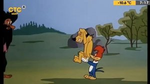 Приключения Вуди и его друзей