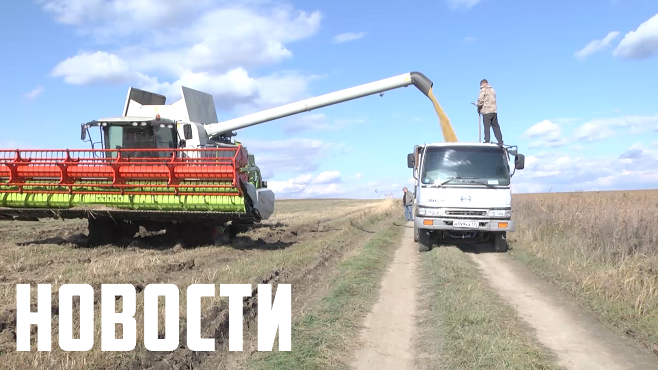 Урожай хороший, успеть бы убрать смотреть онлайн