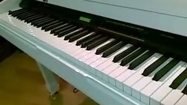ORLA DP 310 Digital Grand Piano Gospel.High Tech from Italy. смотреть онлайн
