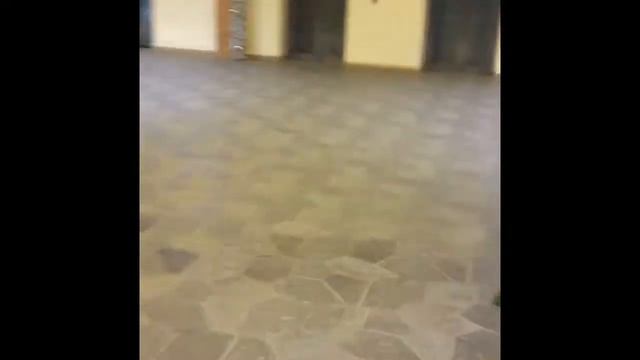 VLOG Сочи/Новый Год 2018 смотреть онлайн