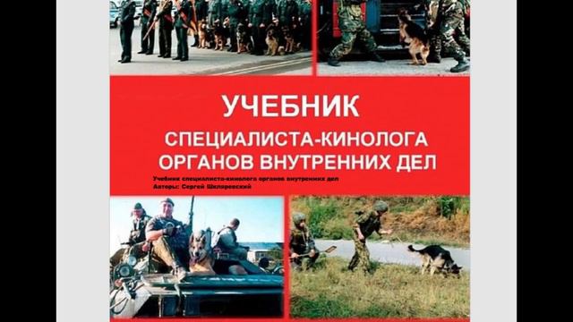 БОРОДКИНА/ВОПРОС О СКЕЛЕТИРОВАНИИ /КАК ХОРОШО УМЕТЬ ЧИТАТЬ ... смотреть онлайн