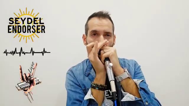 Sunrise soulful ballad - Harmonica Seydel 1847 Classic tonalité Sib (Bb) By Livio CAREDDU смотреть онлайн