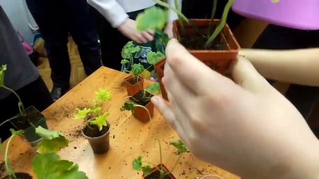 Посадка Калачиков смотреть онлайн