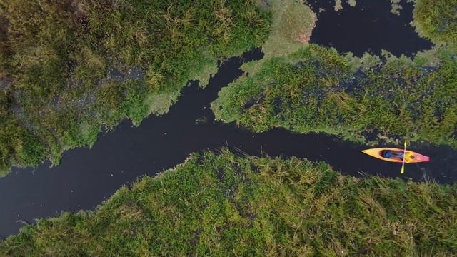 Среди пойменных дубрав. Сплав на байдарке по реке Случь на Полесье смотреть онлайн
