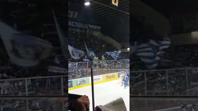 HC Ambri - Lugano 4.2.2017 смотреть онлайн