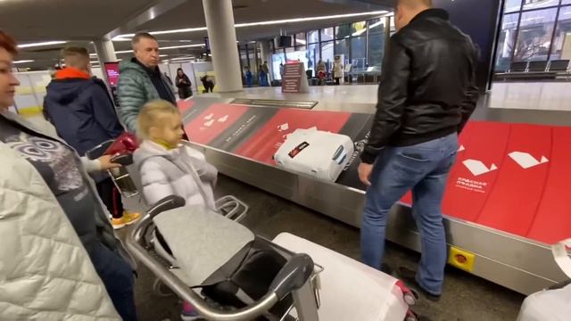 ВЛОГ Летим в Сочи всей семьей и даже с кошкой на самолёте!!! смотреть онлайн
