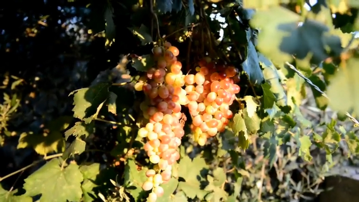 2013_09 Greece 2013 (720p)