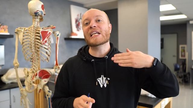 The Benefits of Working With a Personal Trainer смотреть онлайн