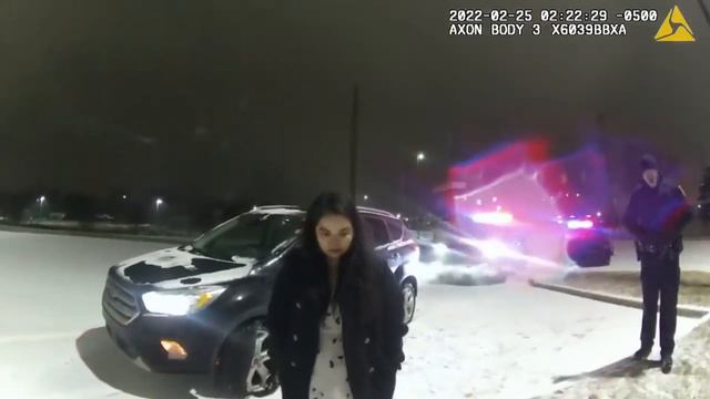 Mary Cavanagh, State Rep the DUI Arrest of Michigan (D) смотреть онлайн