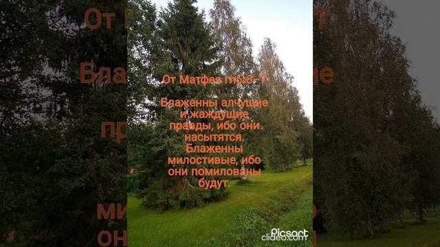 Блаженны нищие духом, ибо их есть Царство Небесное (От Матфея гл5:3) смотреть онлайн