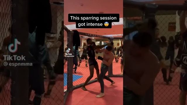 they going crazy #fight #fyp #funny #gaming #gta #memes #rizz #wtf #evil #rizzity #vector #r смотреть онлайн