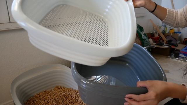 AFFORDABLE ECO FRIENDLY CAT LITTER | SVEN AND ROBBIE смотреть онлайн