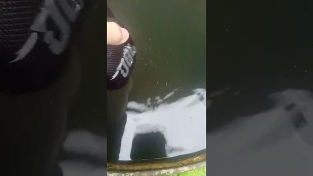 jbl clip4 смотреть онлайн