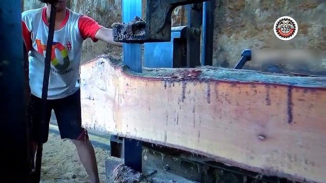 The Extraordinary Sensation of Cutting Wood Green Skin Most Hard Wood in Factory смотреть онлайн