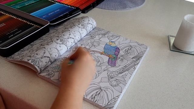 [REVUE] 120 CRAYONS ZENACOLOR : Un arc-en-ciel de nuances! смотреть онлайн