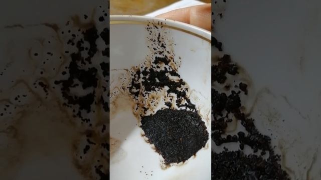 эгрегор 14 отделения псих больницы Ставрополя. смотреть онлайн