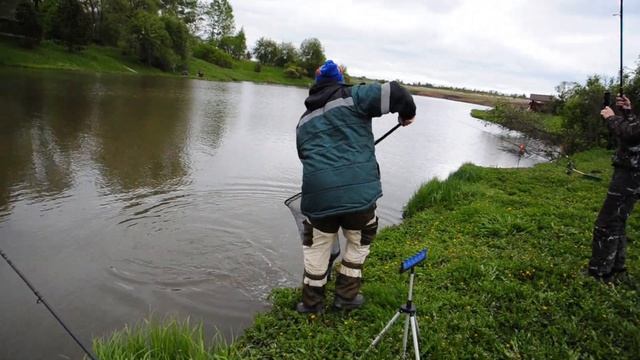 Ловля карпа на платном водоеме весной в мае месяце. смотреть онлайн