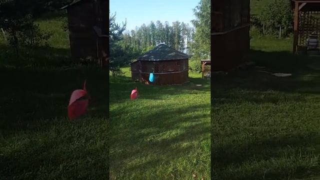 Вертолетики из цветной бумаги смотреть онлайн