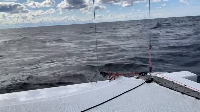 Тримаран Рекорд в режиме серфинга с волны. Скорость 9-12 узлов. смотреть онлайн