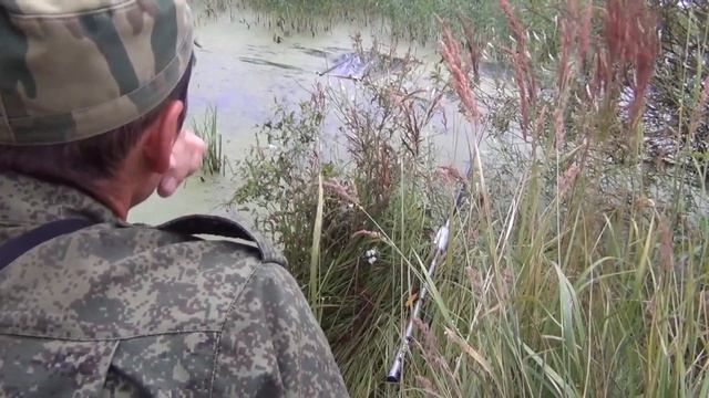 Необычный способ ловли на удочку в ряске - 2 и итоги смотреть онлайн