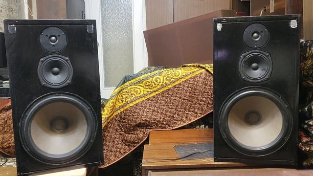 HZK 12031 , полгода владения , текст смотреть онлайн