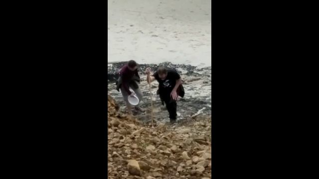 Краб, рыба... Тихий Океан. смотреть онлайн