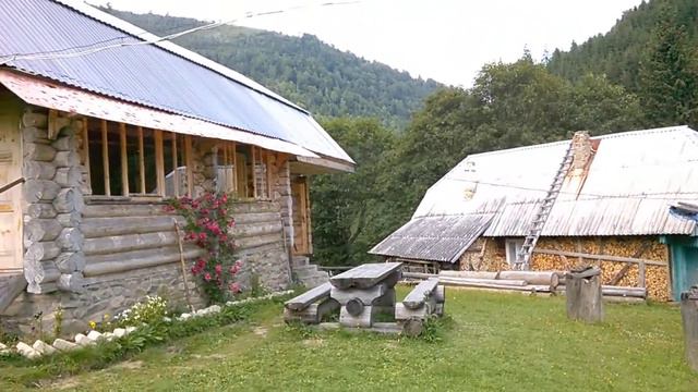 WP 20160810 007 смотреть онлайн