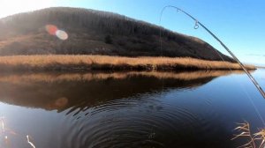 Ноябрьская рыбалка на Сахалине. Ловля кунджы.