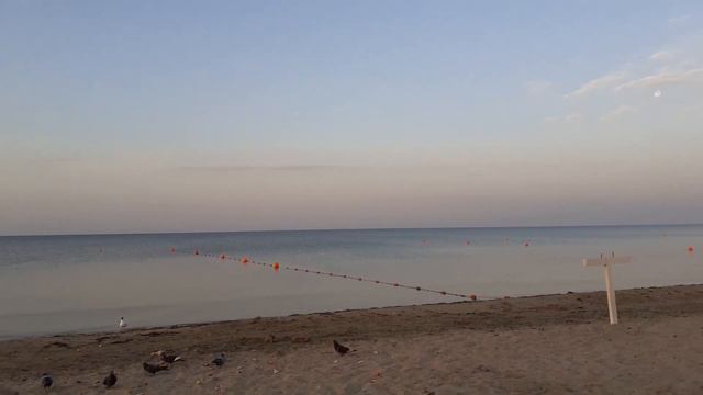 Кто до моих статуй не дорос смотреть онлайн