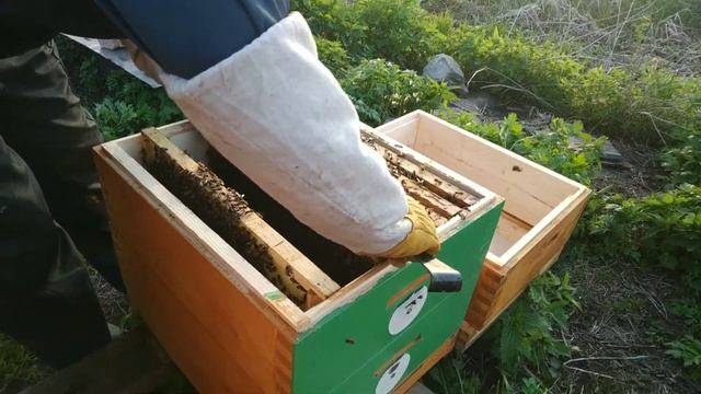 Как Легко Вывести Маток смотреть онлайн