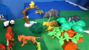 Путешествие в Джунгли с Lion Boy Животные Джунглей для Детей  Детям про животных Видео для Детей